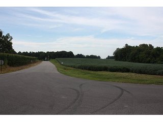 Property photo 3 - REAL ESATE AUCTION-128.4+/- ACRES OFFERED IN 6 TRACTS IN SPENCER COUNTY